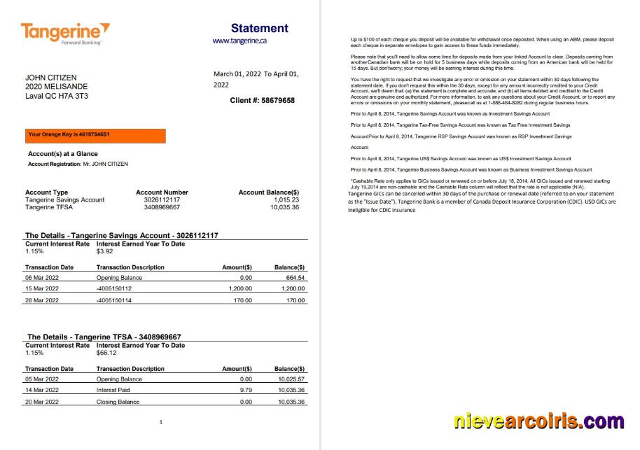 Canada Tangerine bank statement